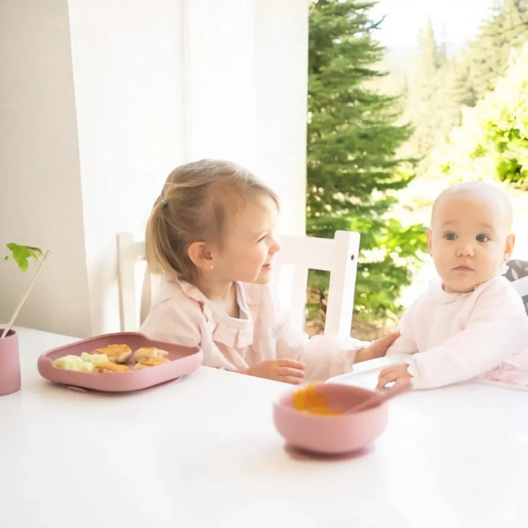 Alimentación-Complementaria-BLW-Triturados-y-Sólidos-Guía-para-Madres-Primerizas-Vajilla-Ideal Nenina & Co®️
