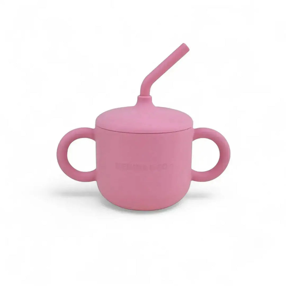 
                  
                    Vajilla BLW Pink 9 Piezas de Silicona orgánica con ventosas Nenina & Co 
                  
                